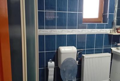 Casa Spa?ioasa P+1+M, 265 mp Utili, 1000 mp Teren ... - 9