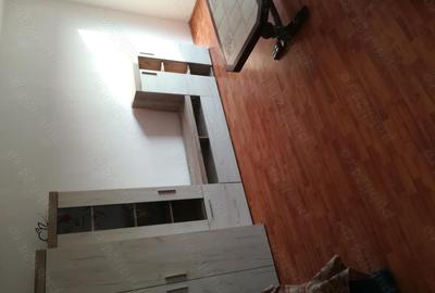 Apartament cu 3 camere decomandat în Aradul Nou - 4