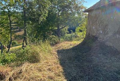 Casa + teren Certeju de Jos, Comuna Vorta ( Hunedoara) - 2