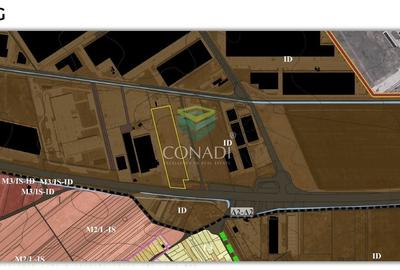Teren Construcții intravilan de 30994 mp, în Bolintin-Deal - 7