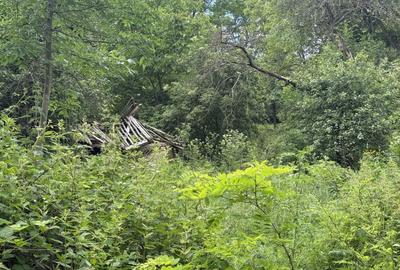 Teren Construcții intravilan de 683 mp, în Plaiu (Provița de Sus) - 10