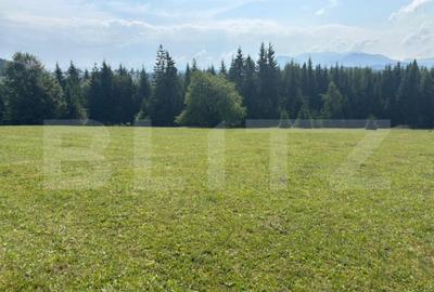 Teren de 20000 mp, în Central - 15