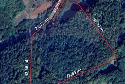 Teren Construcții intravilan de 4985 mp, în Sascut - 18