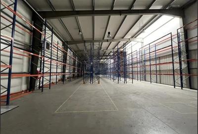 Spațiu industrial, de 15,000 mp, în Mogoșoaia - 8