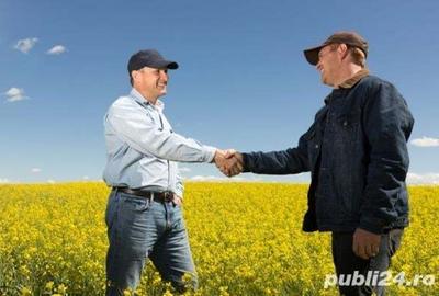 Spațiu comercial, în Gătaia