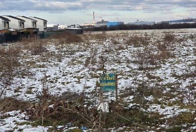 Vand 1HA teren intrav ptr case zona Balcescu langa cartierul RIVIERA, utilitati, sosea - 6