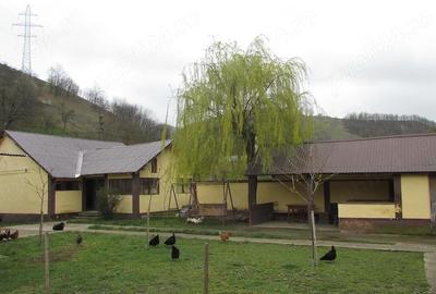 Casă cu 3 camere cu Teren 2900 Mp în Vețel - 11