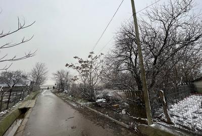 Teren de 1600 mp, în Sălcioara - 5