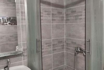 Apartament cu 2 camere în Tineretului