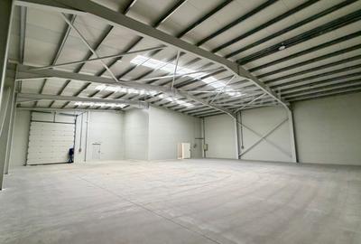 Spațiu industrial, în Chitila - 3