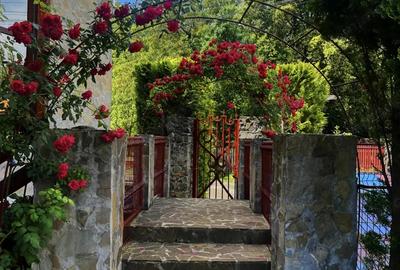 Proprietate cu Vedere Panoramica superba , Campulung Muscel (Arge?) - 4