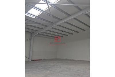 Depozit/hala/spatiu industrial Chiajna - Chitila - Rudeni - 18