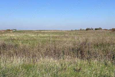 Teren de 22000 mp, în Livada - 7