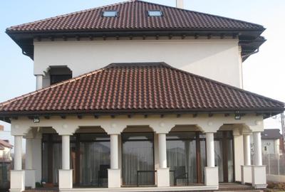 Mogosoaia - de vanzare - vila in stil Brancovenesc - 2