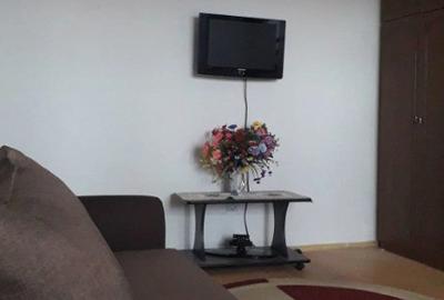 Garsonieră decomandată în Ultracentral - 3