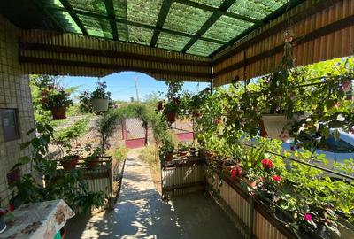 Casă cu 2 camere cu Teren 1875 Mp în Săcășeni - 6