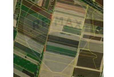 Teren agricol intravilan de 3400 mp, în Sântion - 1