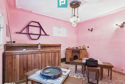 Casă cu 3 camere decomandat cu Teren 8163 Mp în Petriș - 9