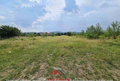 Teren intravilan in Banesti--925 m--40e - 16