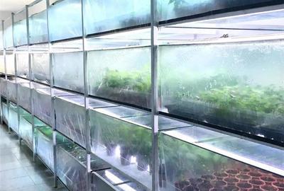 Spațiu comercial, de 1,300 mp, în Blăjenii de Jos - 6