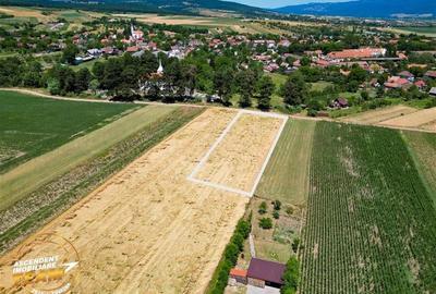FILM! Valea Crisului,2.300mp,in vecinatatea lacului,aproape de Sfantu Gheorghe FILM! Valea Crisului,2.300mp,in vecinatatea lacului,aproape de Sfantu Gheorghe - 3