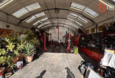 Casa individuala, 160 mp cu atelier auto 110 mp, in Utvin - 6