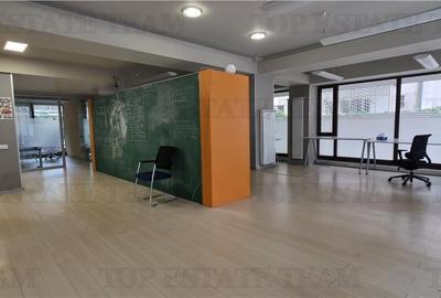 Birou/Apartament 4 camere cu gradina, zona Cismigiu - 4