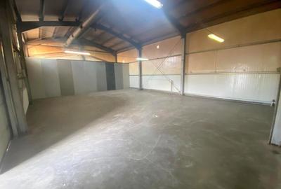 Spațiu industrial, de 132 mp, în Săcălaz - 3