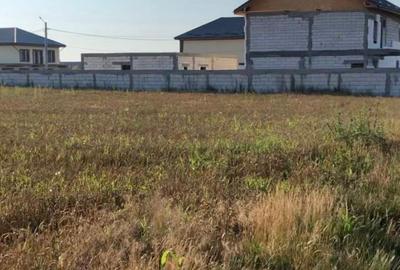 Teren agricol intravilan de 1588 mp, în Cernica - 5