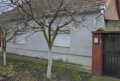 Casă cu 3 camere cu Teren 1355 Mp în Mihai Bravu - 7