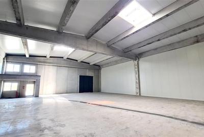 Spatiu industrial,  523 mp, Timisoara exterior NORD