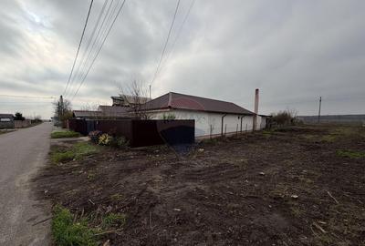 Teren intravilan Vanatori / Strada Islaz - 3