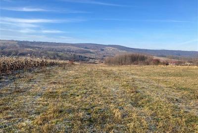 Teren vanzare Bordea/Padureni - 2