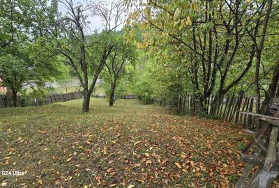 Spațiu comercial, în Central