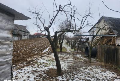Casă cu 4 camere în Faraoani - 1