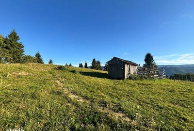 Spațiu comercial, în Colibița - 3