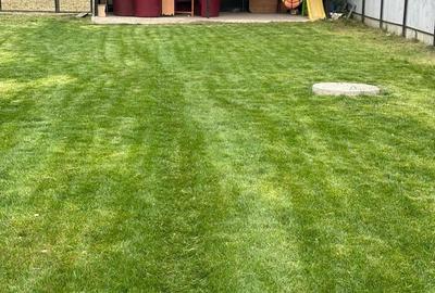 Casă cu 2 camere în Popești - 15