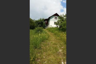 Casa Veche, Central Drajna de Jos 5000 mp Casa Veche, Central Drajna de Jos 5000 mp - 5