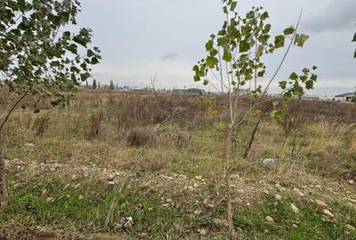 Teren Construcții intravilan de 6000 mp, în Theodor Pallady - 6