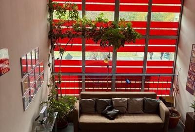 Spatiu comercial de inchiriat 233 mp, Calea Aurel Vlaicu - 12