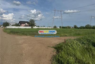 Teren intravilan 1622mp, Lidl Berceni, Utilitati Gaz Electric, 50E mp Teren intravilan 1622mp, Lidl Berceni, Utilitati Gaz Electric, 50E mp - 3