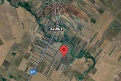 Teren Construcții intravilan de 519 mp, în Vidra - 7