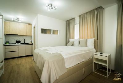 Apartament cu o camera de inchiriat in zona Ultracentrala- Oradea - 2