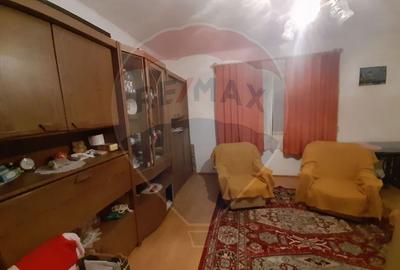 Casa / Vila cu 2 camere de vanzare - 4