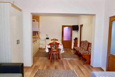 Apartament cu 2 camere în Sinaia - 8