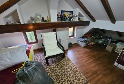 Casa Orastie - 12