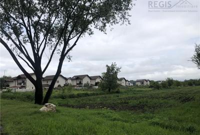 TEREN STRADAL CU UTILITATI | CONSTRUCTII CIVILE | 5000 mp | - 21