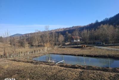 Casă cu 1 camere cu Teren 12000 Mp în Central - 3