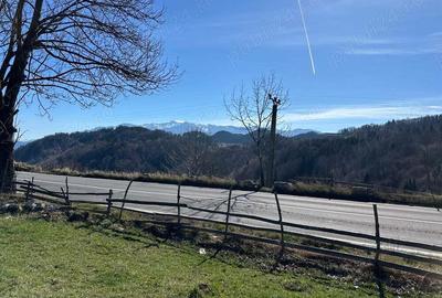 Teren 7000 mp Fundata la 15 km de zona Bran-Moeciu - 1