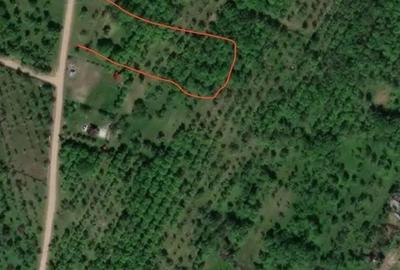 Spațiu comercial, în Central - 2